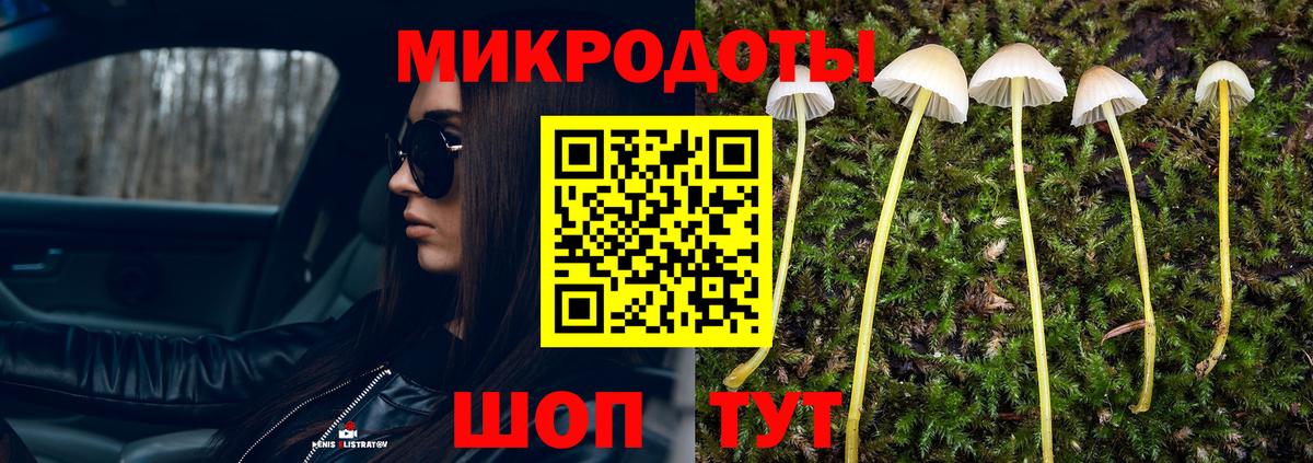 Галлюциногенные грибы ЛСД Шатура