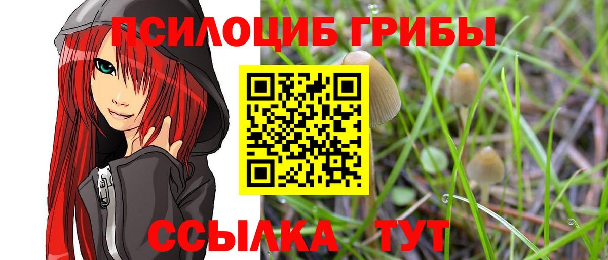 Галлюциногенные грибы мухоморы  Псилоцибиновые грибы Cubensis  Шатура  Вход с VPN 